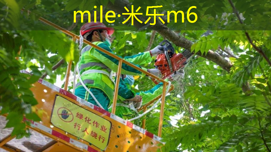 篮球力量训练需要用哪些器材